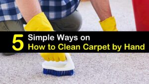 5 Easy Ways To Find The Best Carpet Cleaning Services