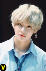 what is bts full form? - BTS | Band, Members, Songs, Albums & Facts 10 V (Kim Tae-hyung)
