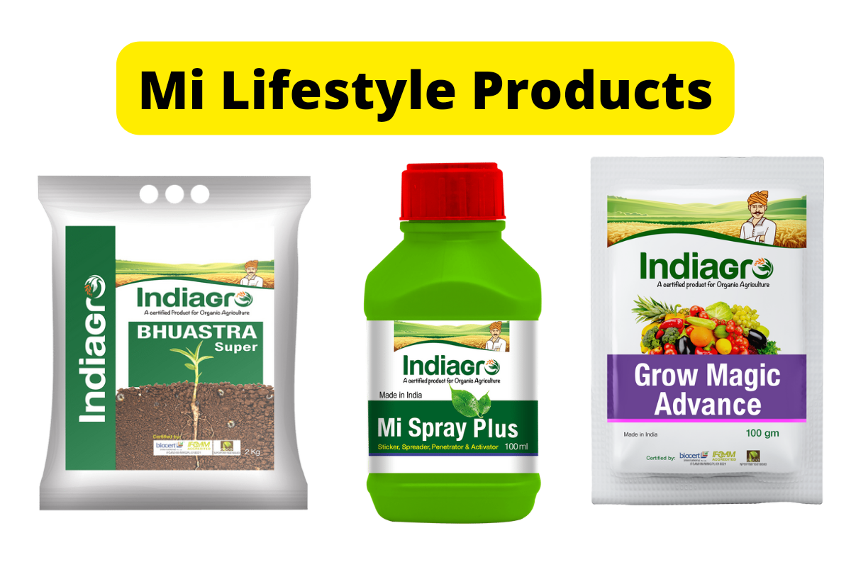 Mi Lifestyle Products