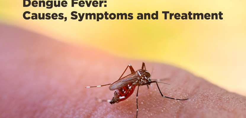 Dengue Fever: Causes, Symptoms, and Treatment