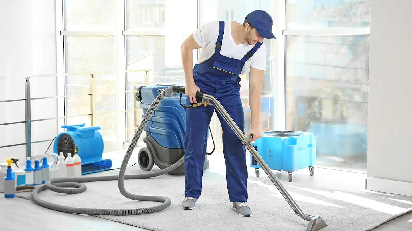 11 Tips For A Carpet Cleaner That Will Leave You Happy