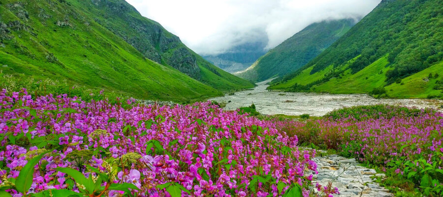 Valley of Flowers Trek- Best Monsoon trek